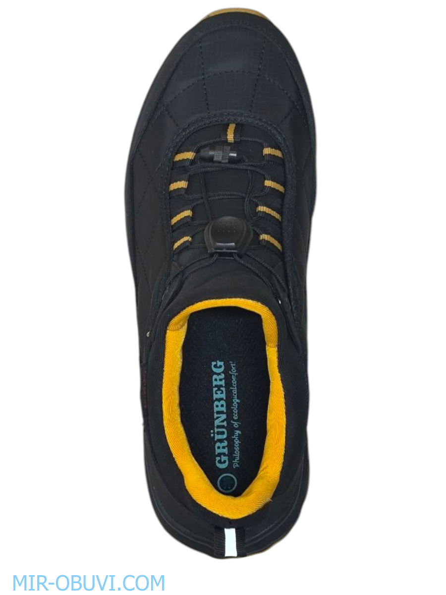 Ƴ���� ���������� ������� Grunberg. ��� 6.