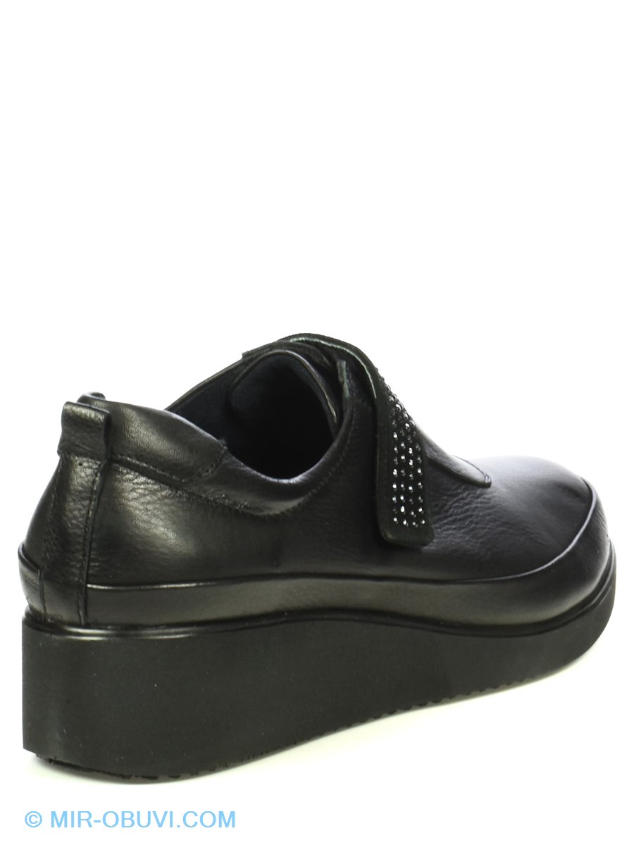 Ƴ���� ���������� ����������� ���� Rifellini. ��� 2.