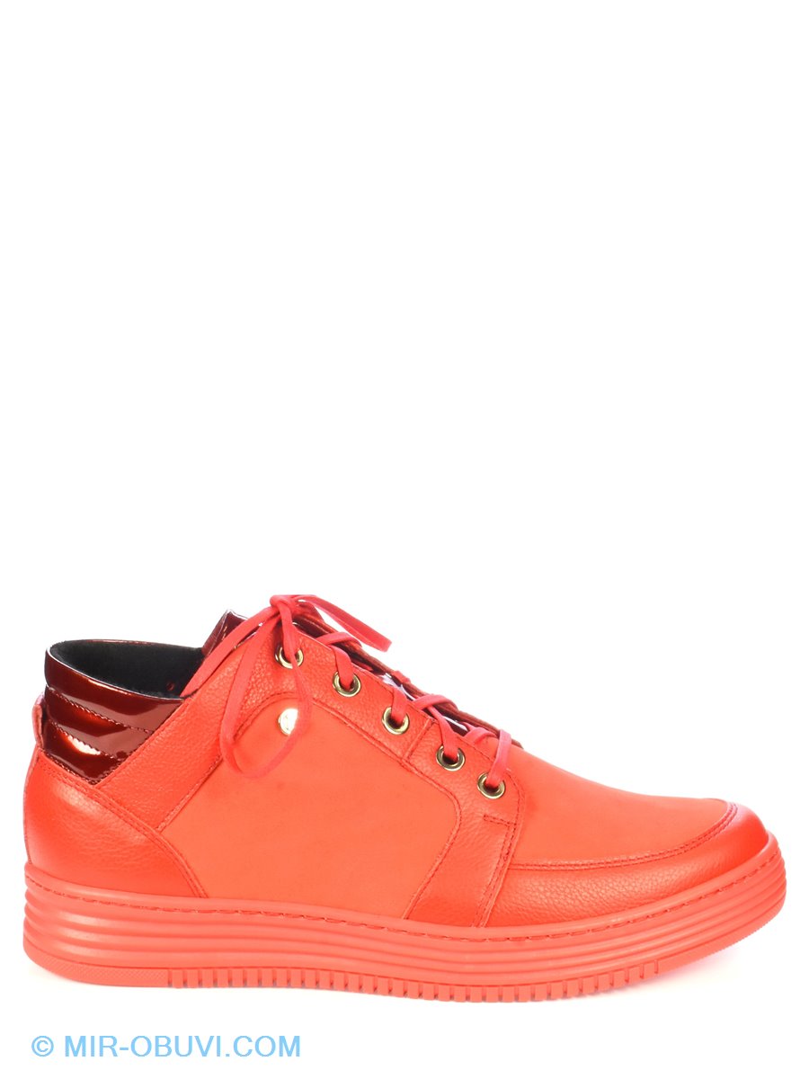 Ƴ���� ���������� ��������� �������� Nik. ��� 7.