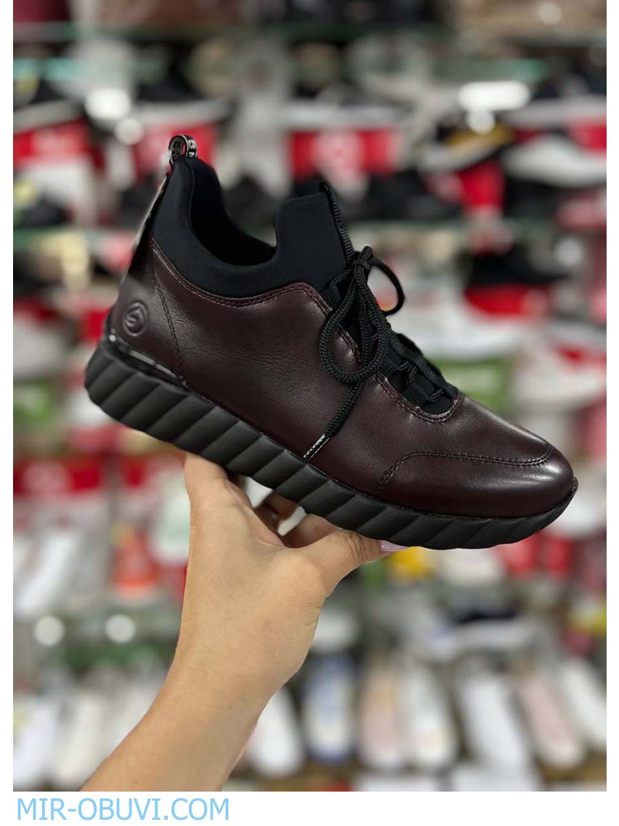 Ƴ���� ���������� ����������� �������� Remonte. ��� 15.