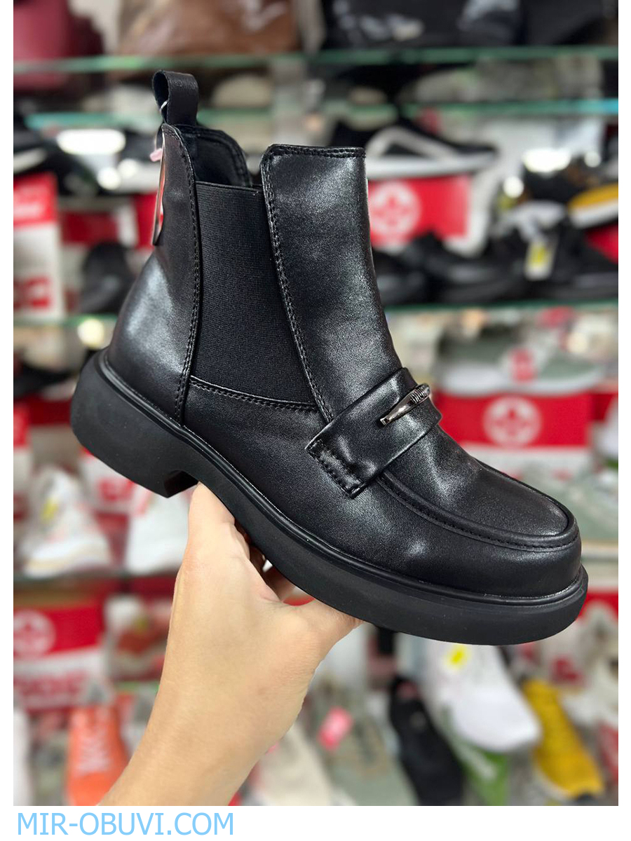 Ƴ���� ���������� ���������� Wollen. ��� 17.