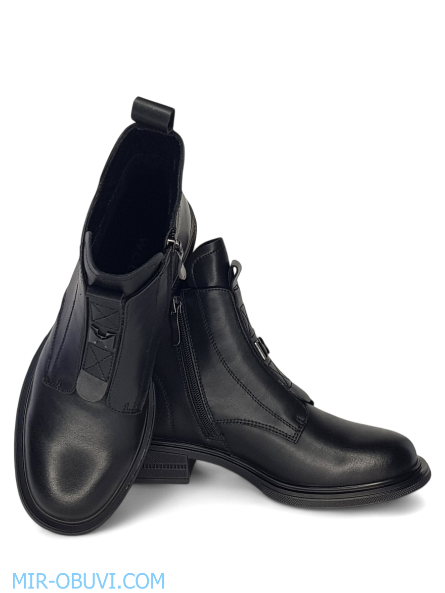 Ƴ���� ���������� ���������� Wollen. ��� 11.