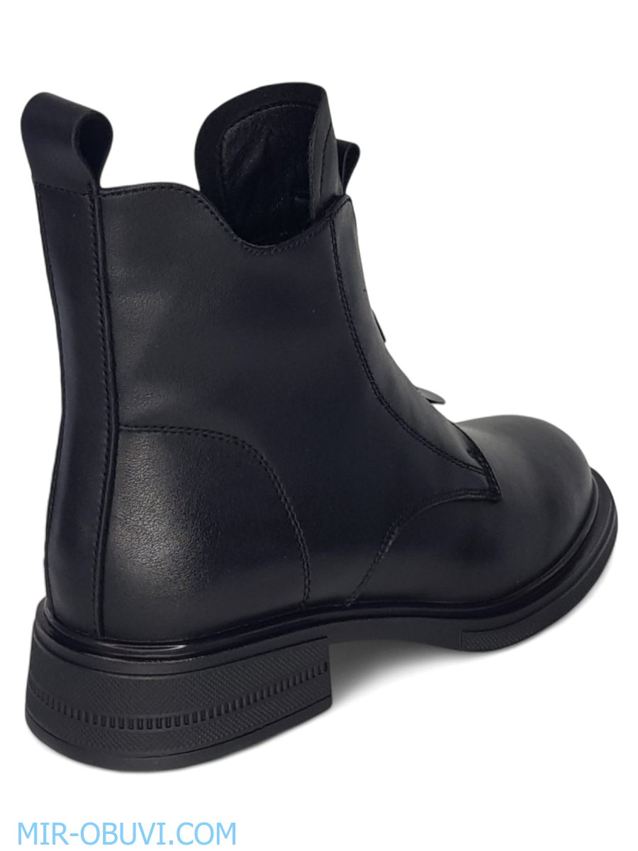 Ƴ���� ���������� ���������� Wollen. ��� 2.