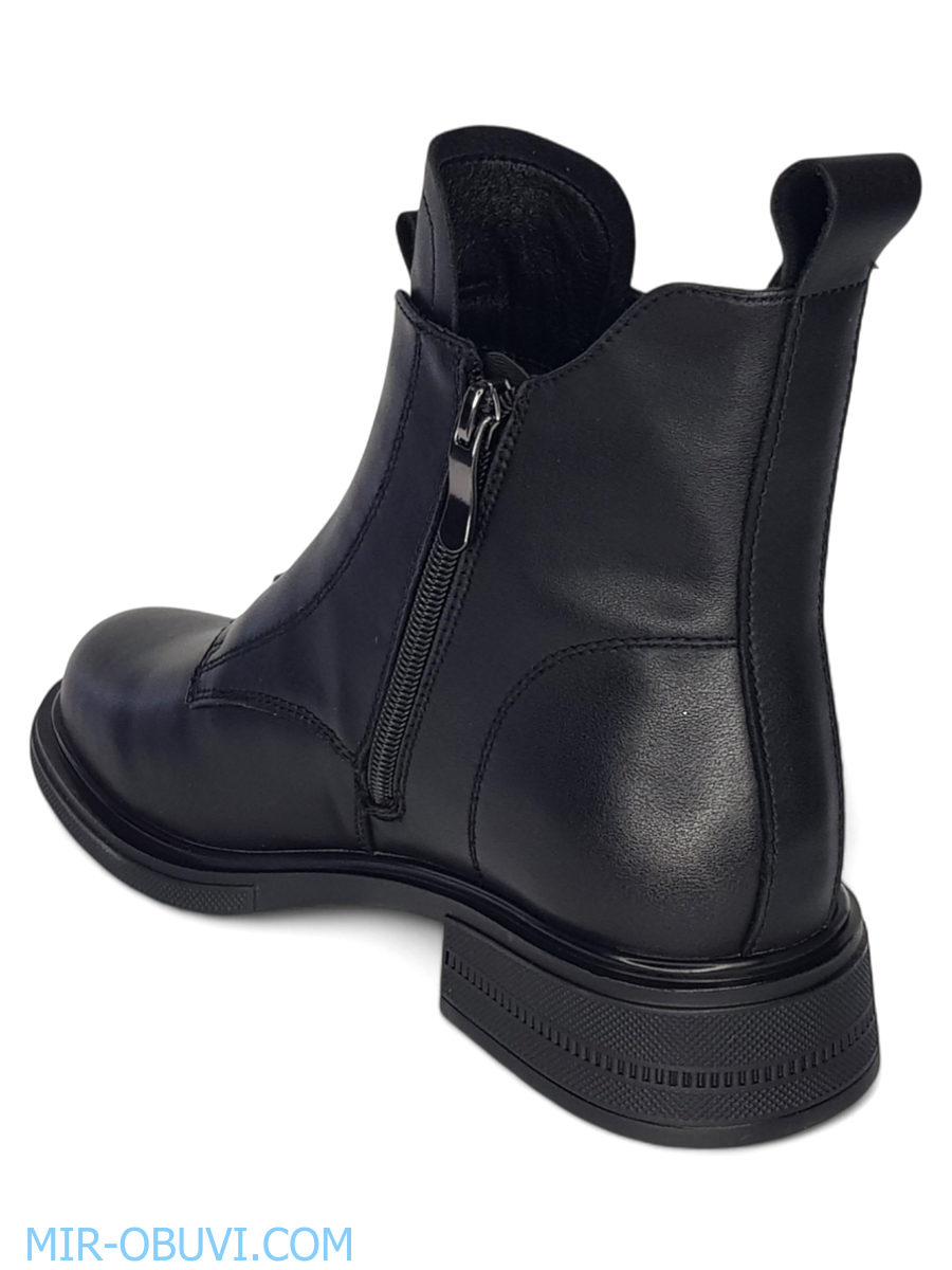 Ƴ���� ���������� ���������� Wollen. ��� 5.