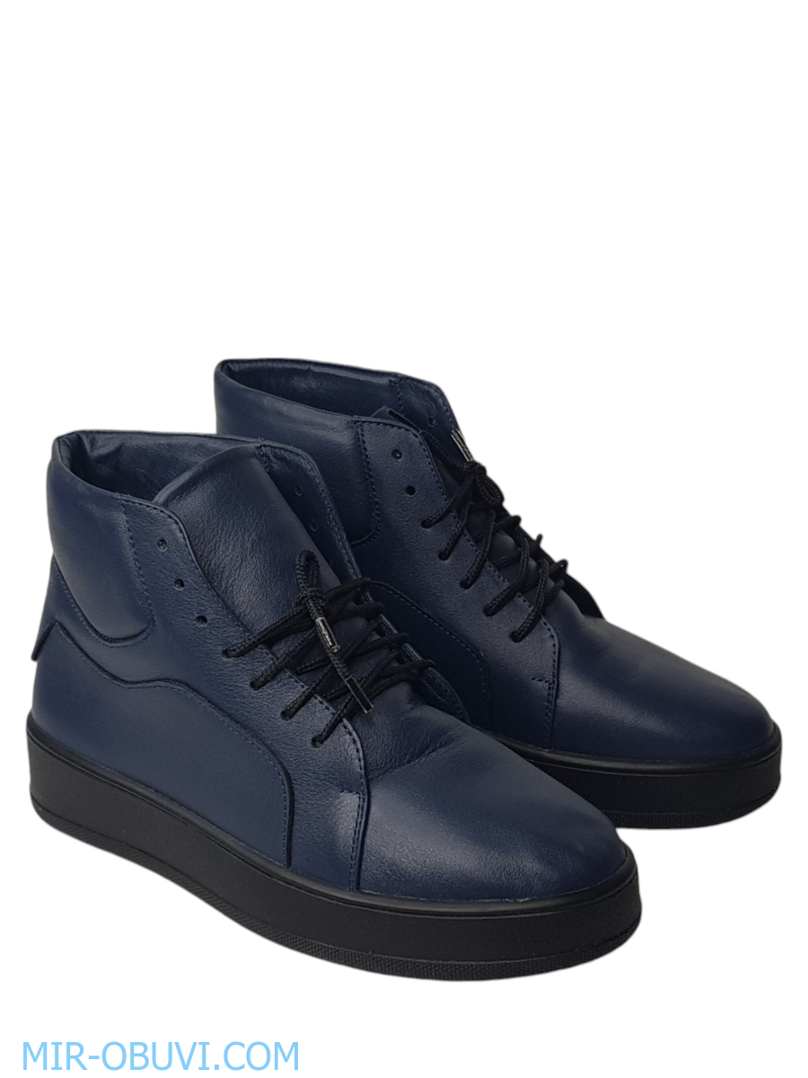 Ƴ���� ���������� ����������� �������� Larsena. ��� 2.