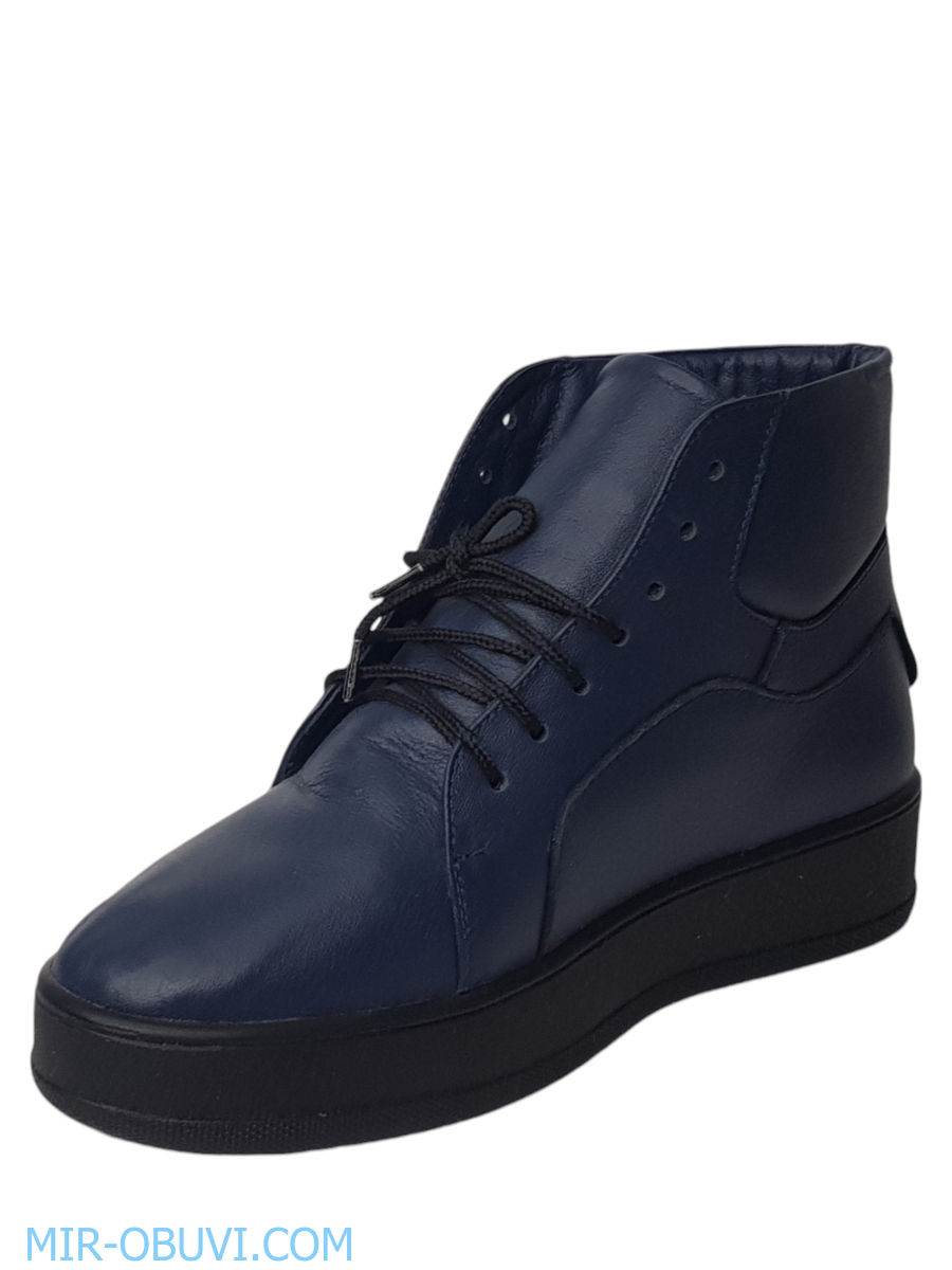 Ƴ���� ���������� ����������� �������� Larsena. ��� 8.