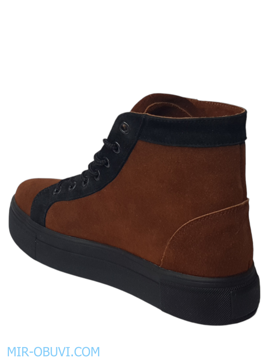 Ƴ���� ���������� ����������� �������� Larsena. ��� 6.