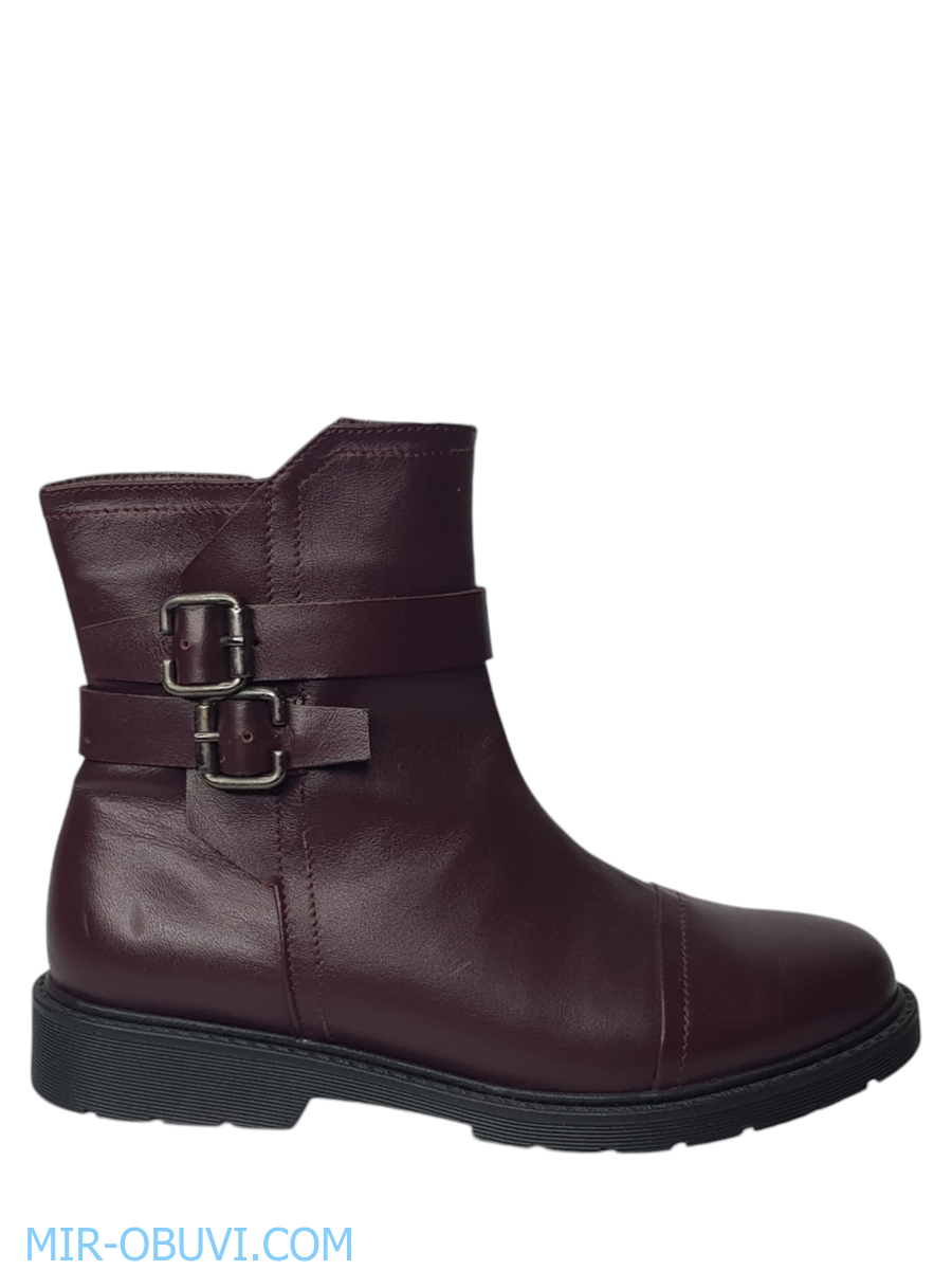 Ƴ���� ���������� ���������� Larsena. ��� 3.