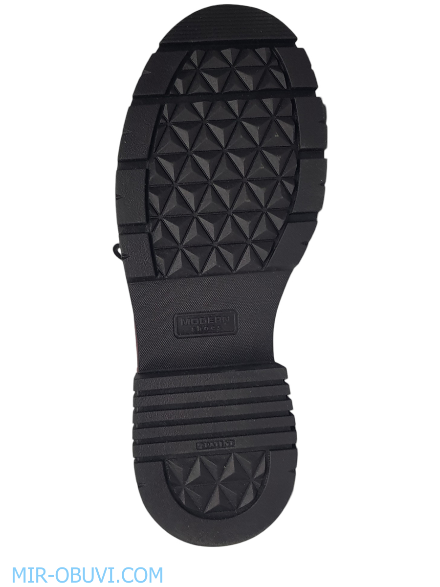 Ƴ���� ���������� ����������� �������� Larsena. ��� 8.