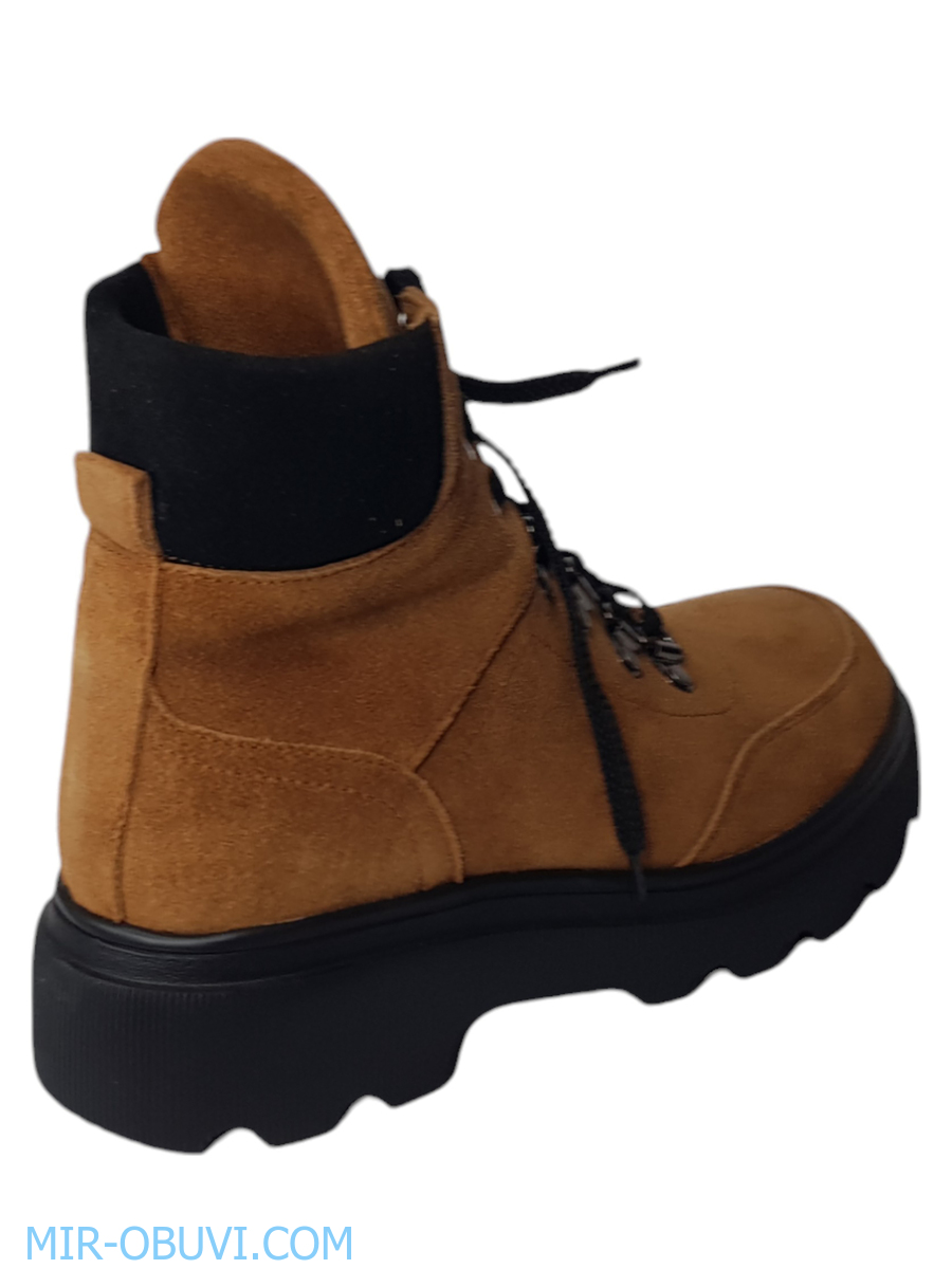 Ƴ���� ���������� ��������� �������� Larsena. ��� 4.