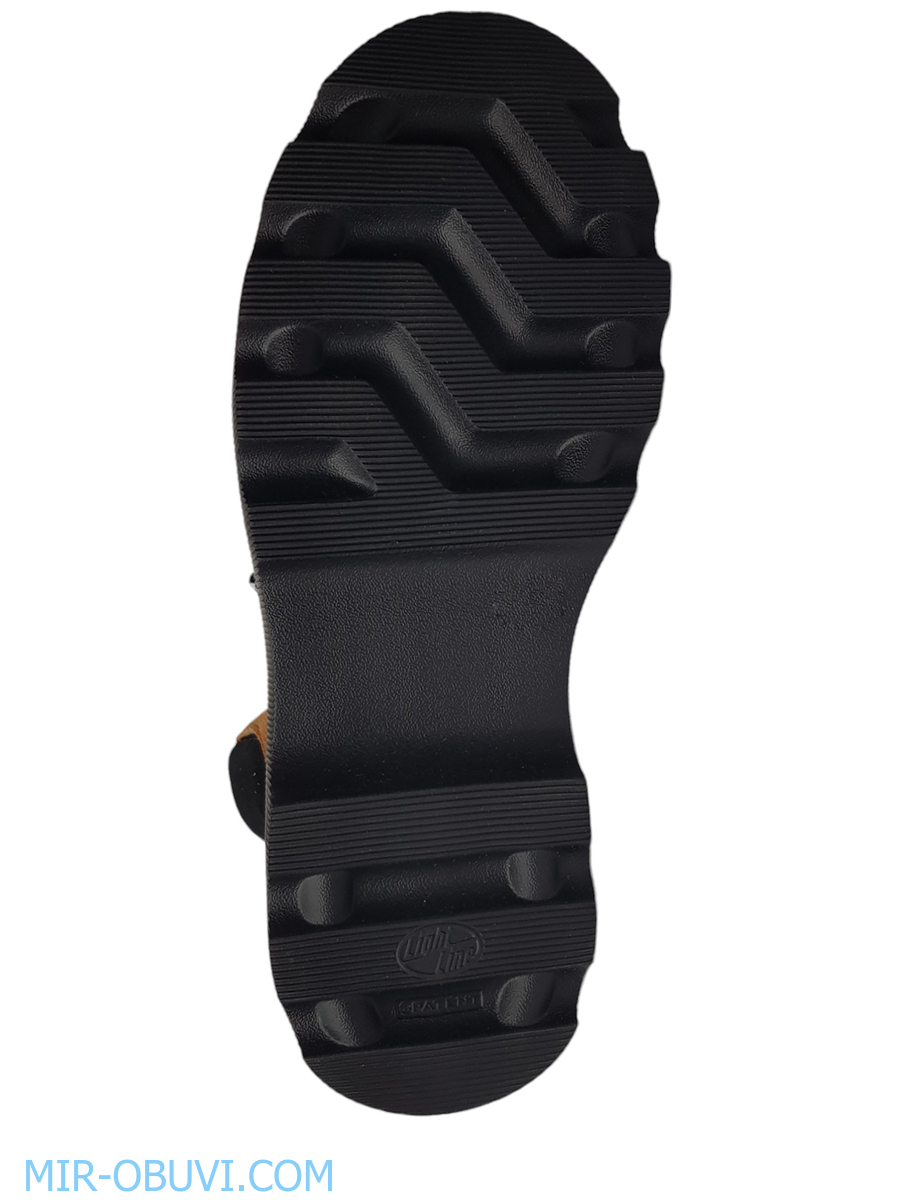 Ƴ���� ���������� ��������� �������� Larsena. ��� 8.