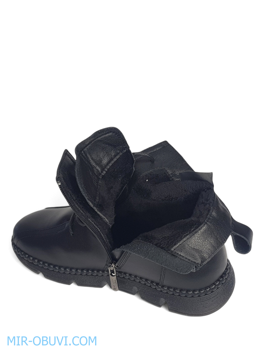 Ƴ���� ���������� ����������� �������� Spur. ��� 13.