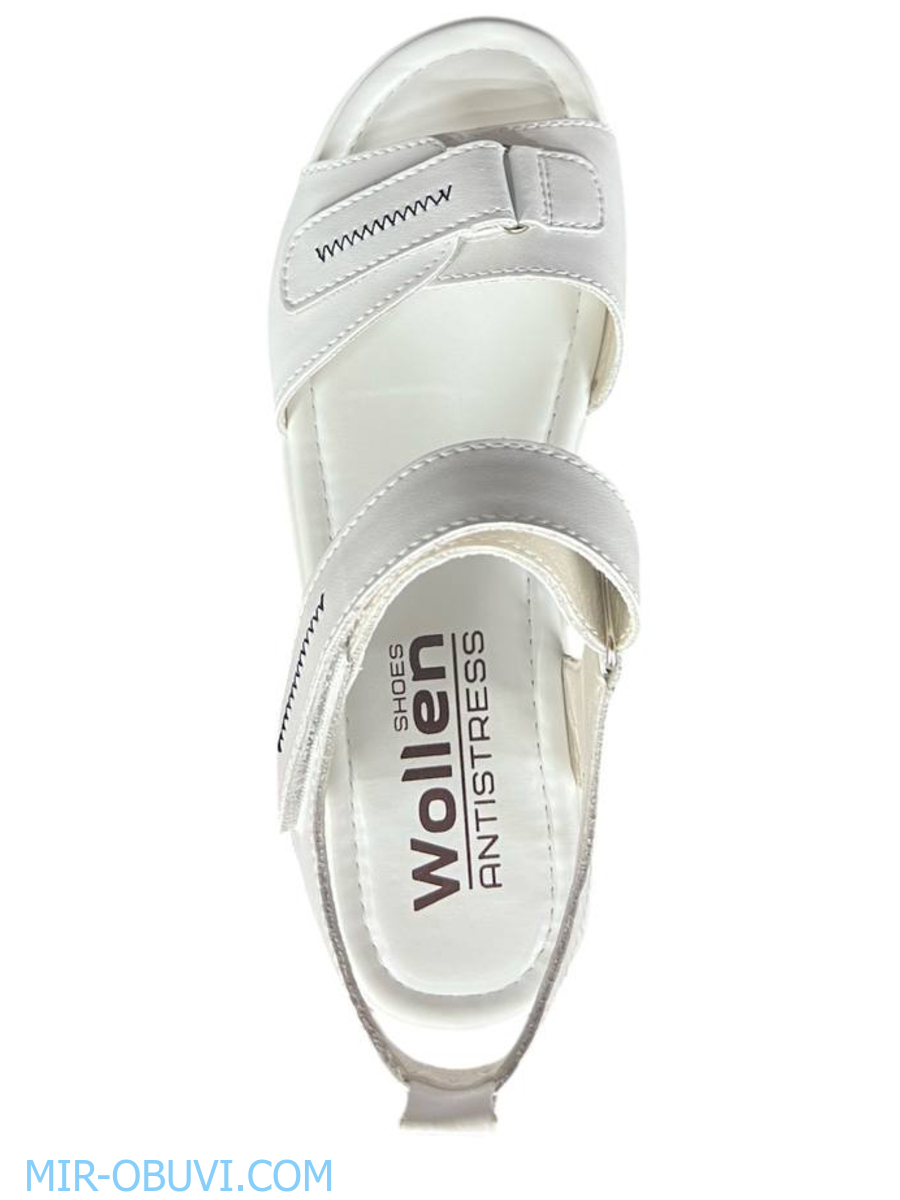 Ƴ���� ���� �����볿 Wollen. ��� 18.