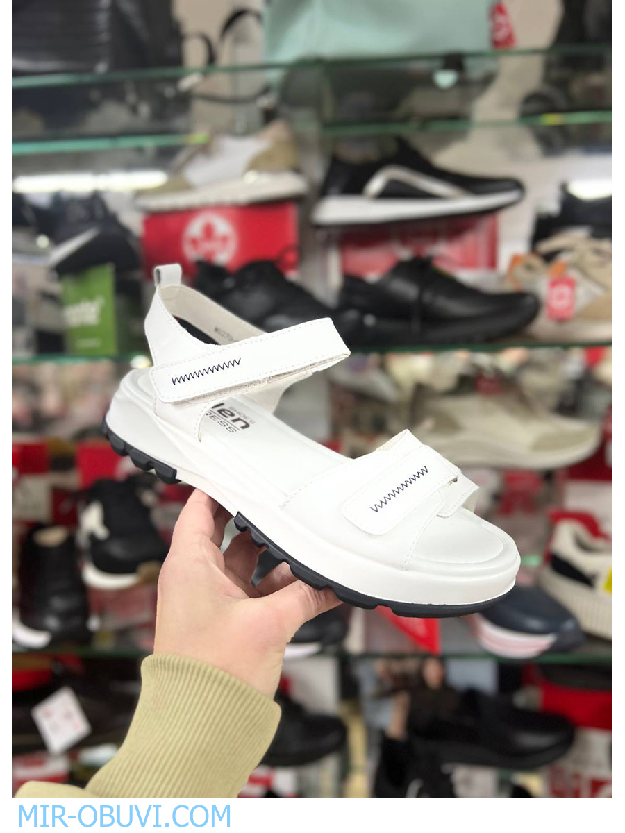 Ƴ���� ���� �����볿 Wollen. ��� 24.