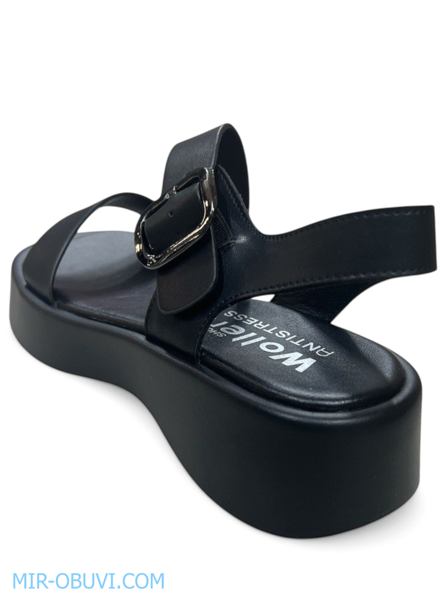 Ƴ���� ���� ��������� Wollen. ��� 2.