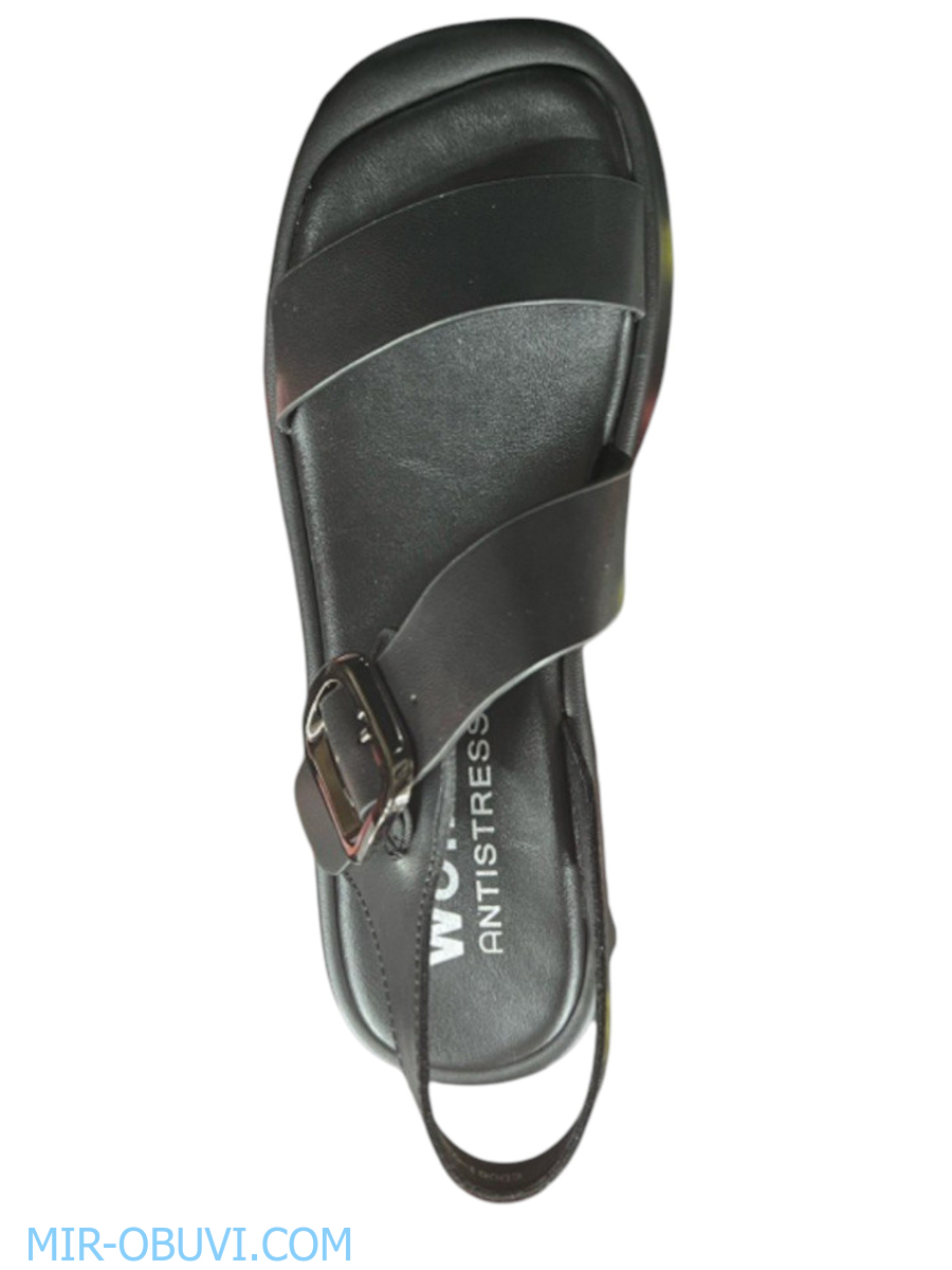 Ƴ���� ���� ��������� Wollen. ��� 6.