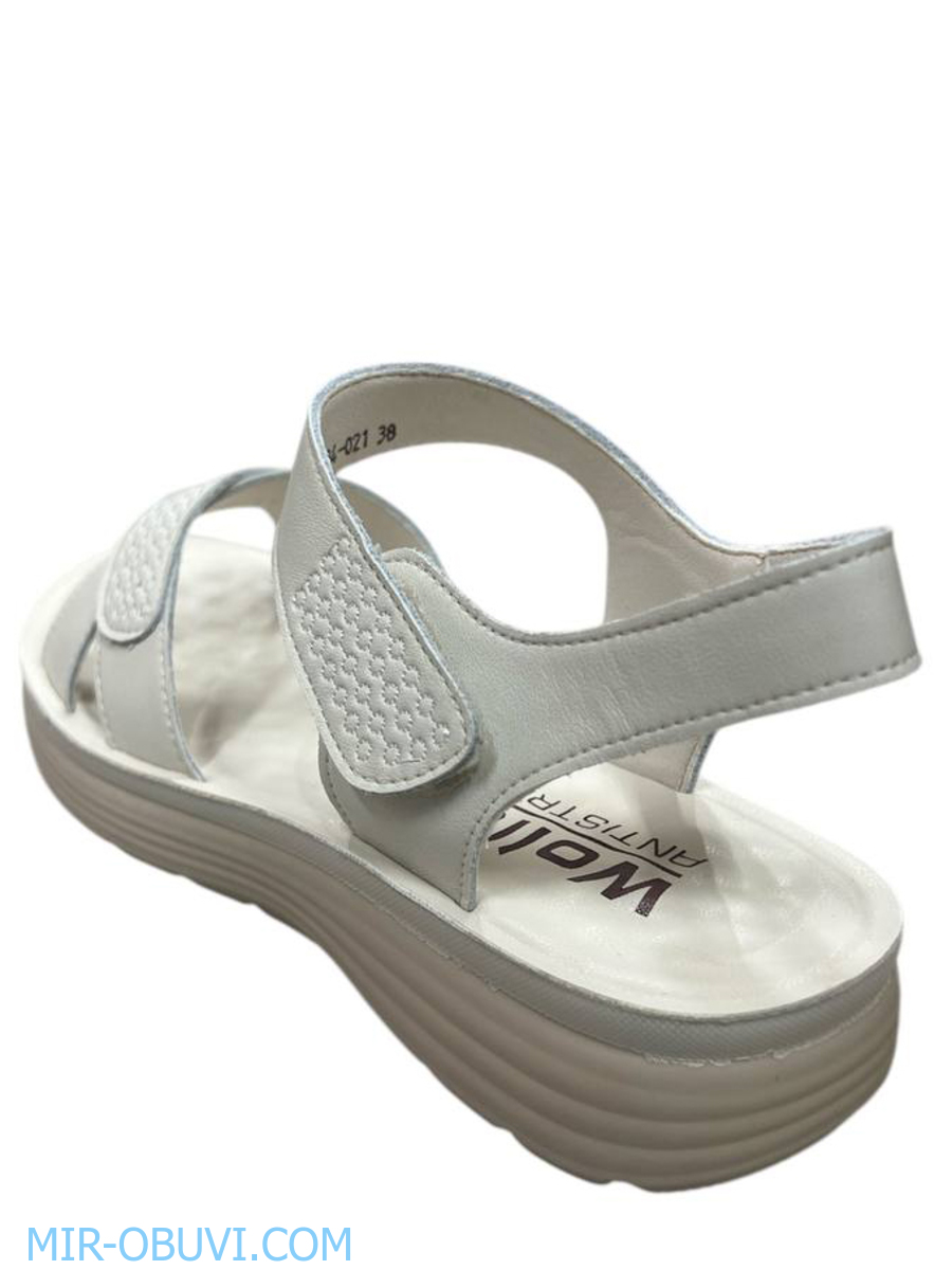 Ƴ���� ���� �����볿 Wollen. ��� 2.