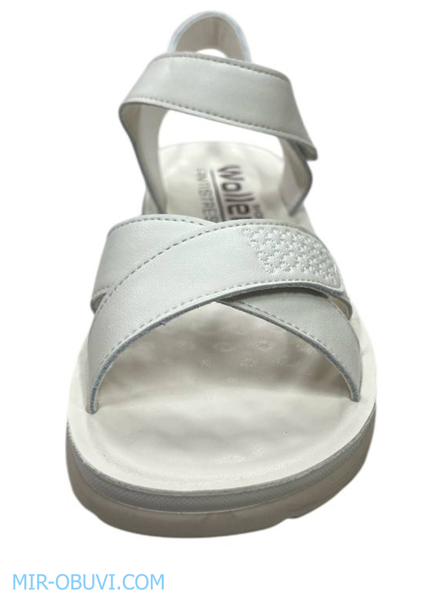 Ƴ���� ���� �����볿 Wollen. ��� 9.