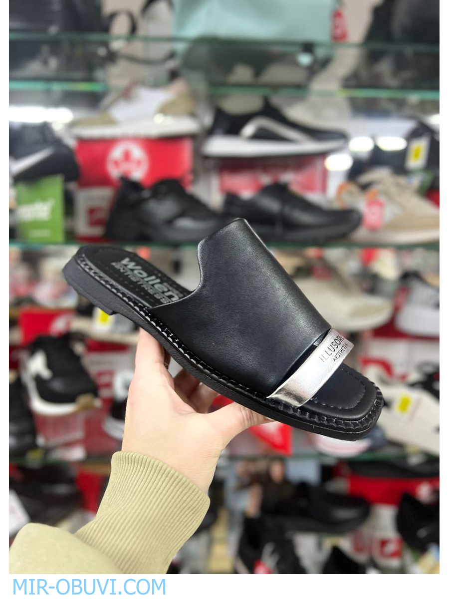 Ƴ���� ���� ��������� Wollen. ��� 13.