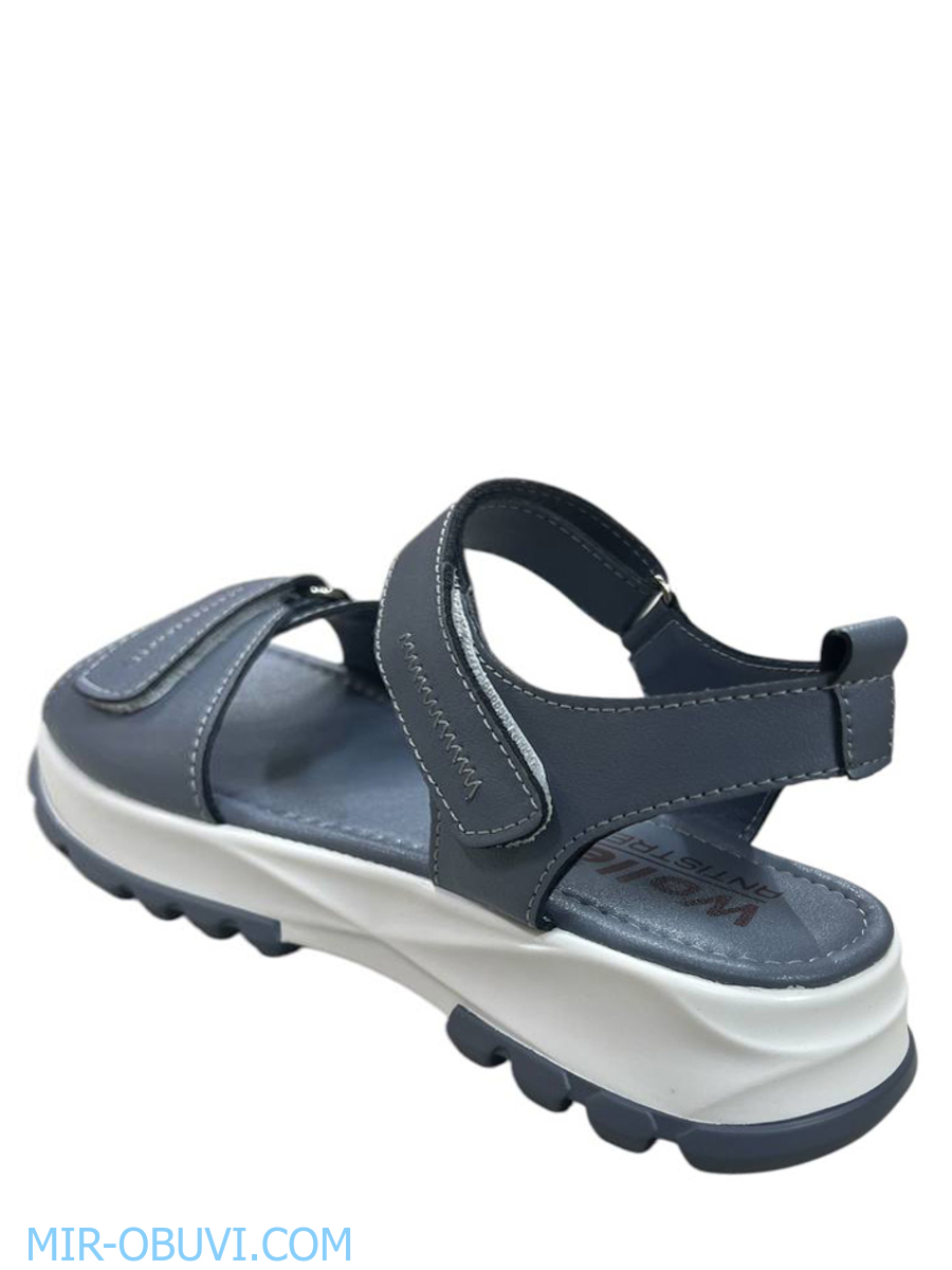 Ƴ���� ���� ��������� Wollen. ��� 2.