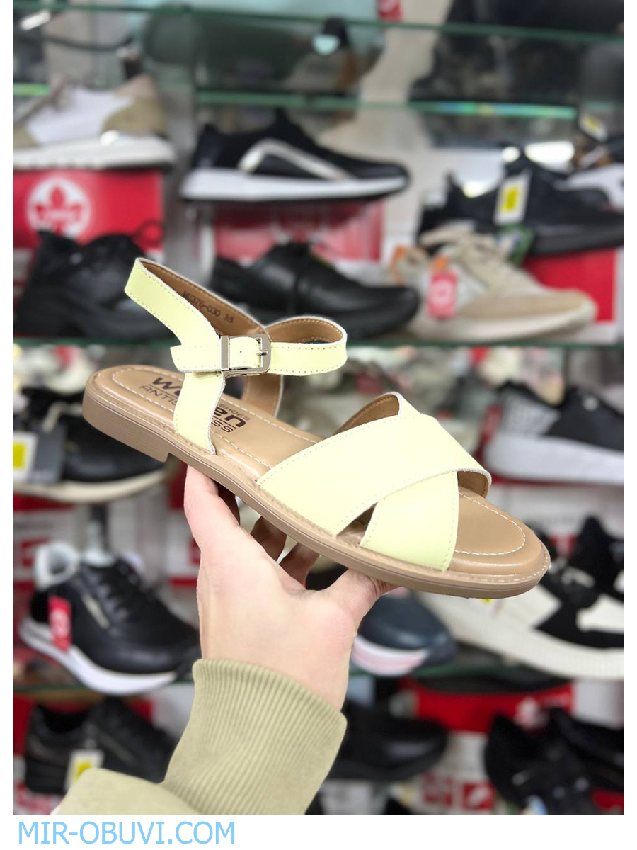 Ƴ���� ���� ��������� Wollen. ��� 13.