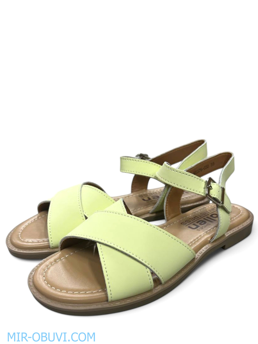 Ƴ���� ���� ��������� Wollen. ��� 4.