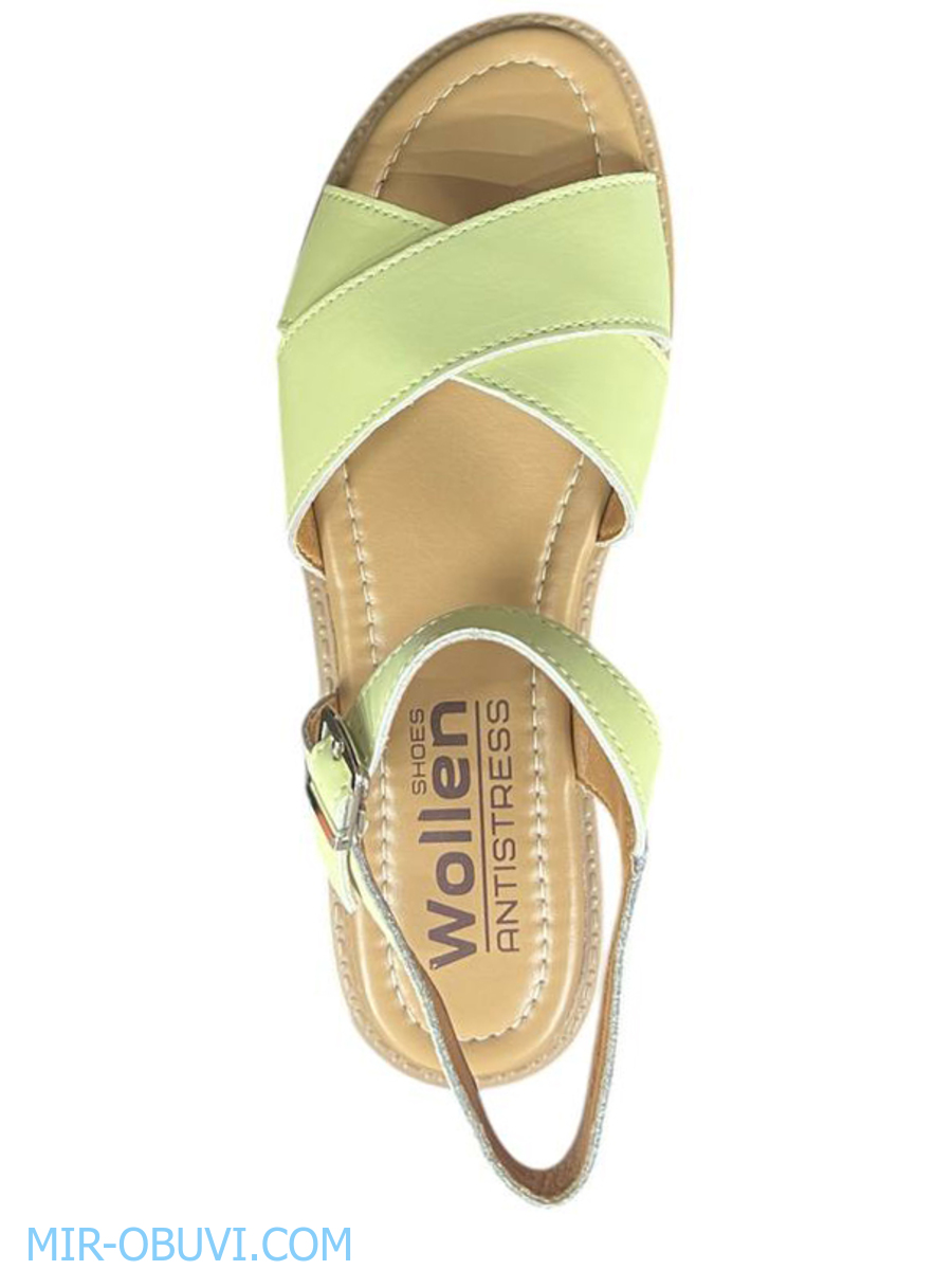 Ƴ���� ���� ��������� Wollen. ��� 6.