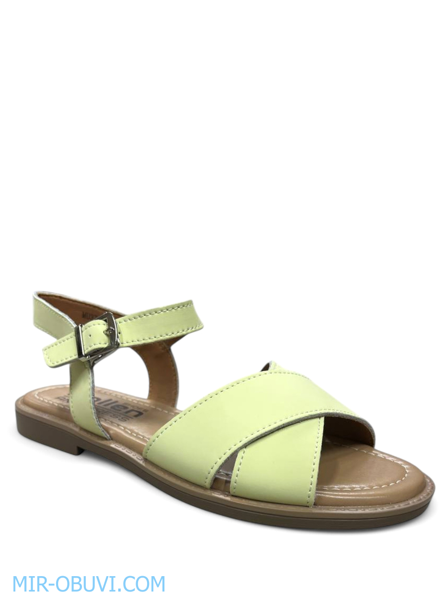 Ƴ���� ���� ��������� Wollen. ��� 1.