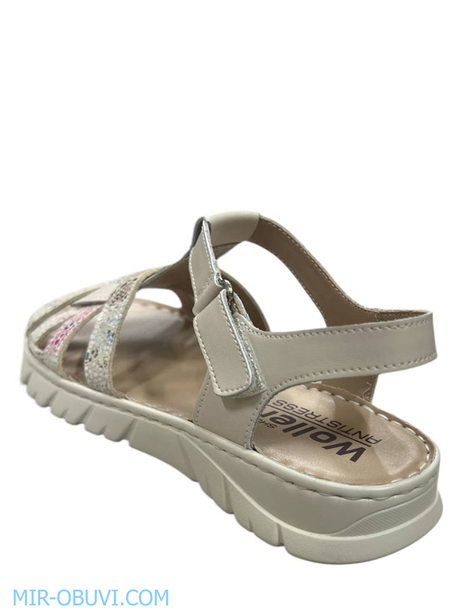 Ƴ���� ���� ��������� Wollen. ��� 2.