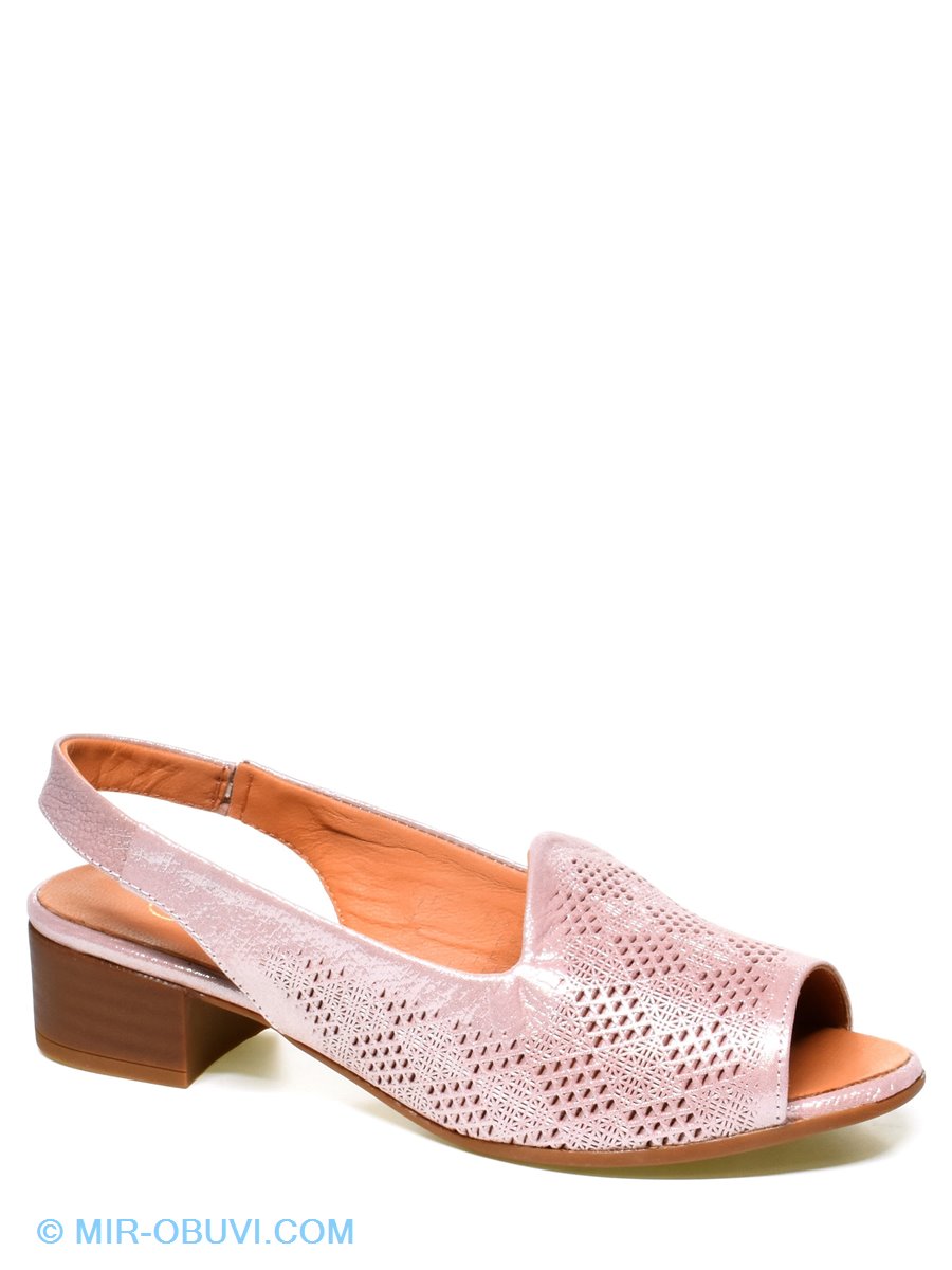 Ƴ���� ���� ��������� La Pinta. ��� 1.