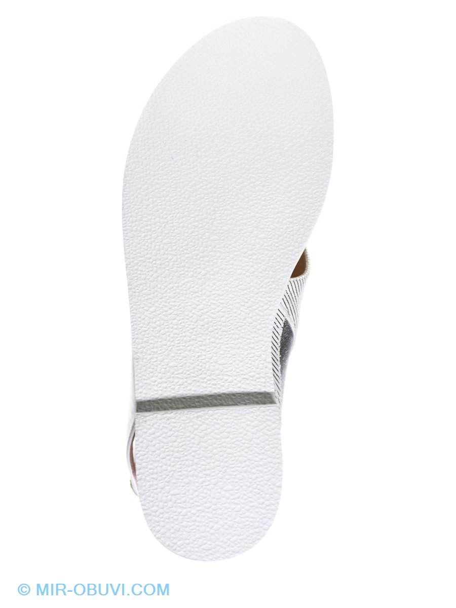 Ƴ���� ���� �����볿 El Passo. ��� 5.