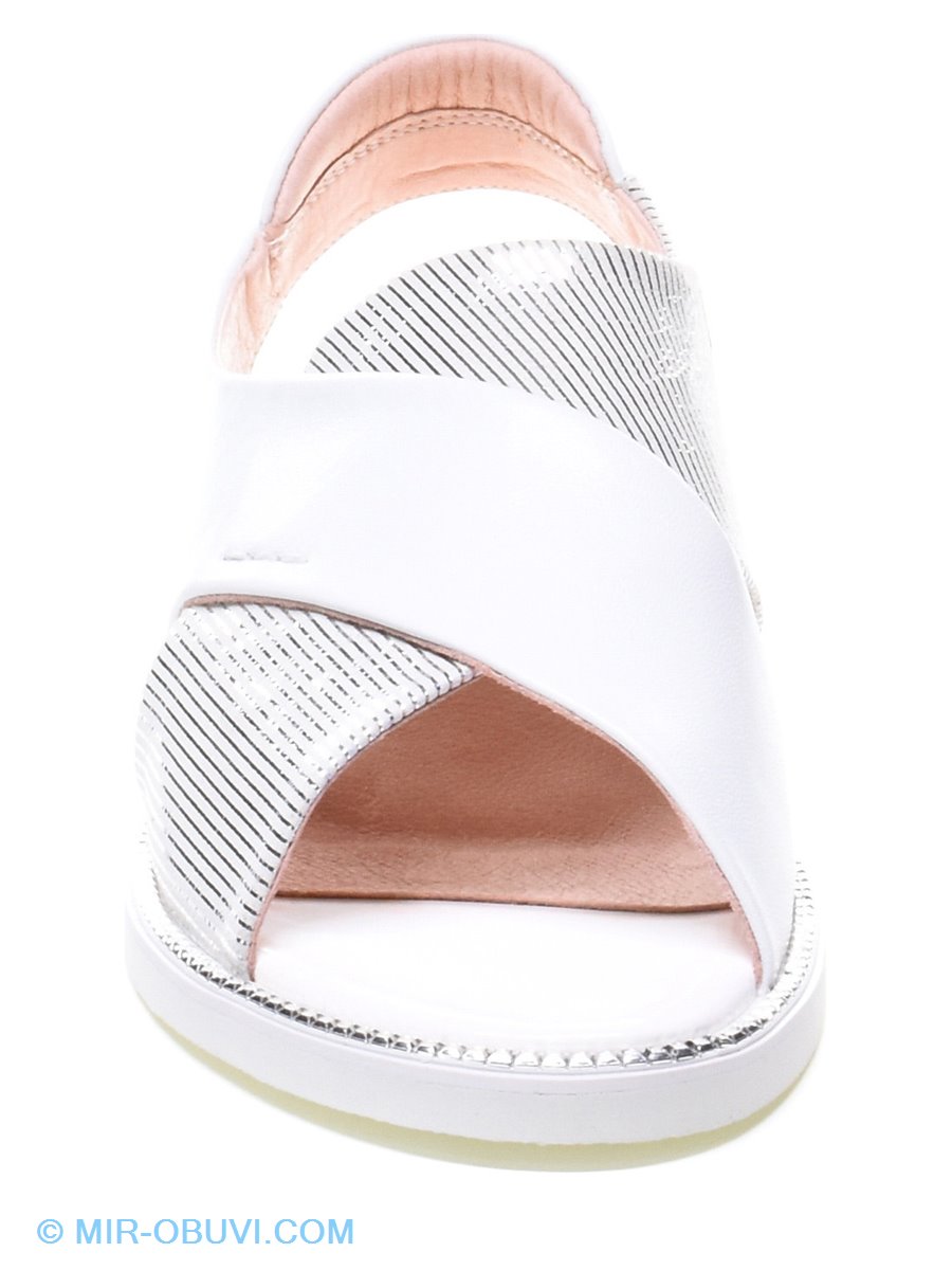 Ƴ���� ���� �����볿 El Passo. ��� 9.