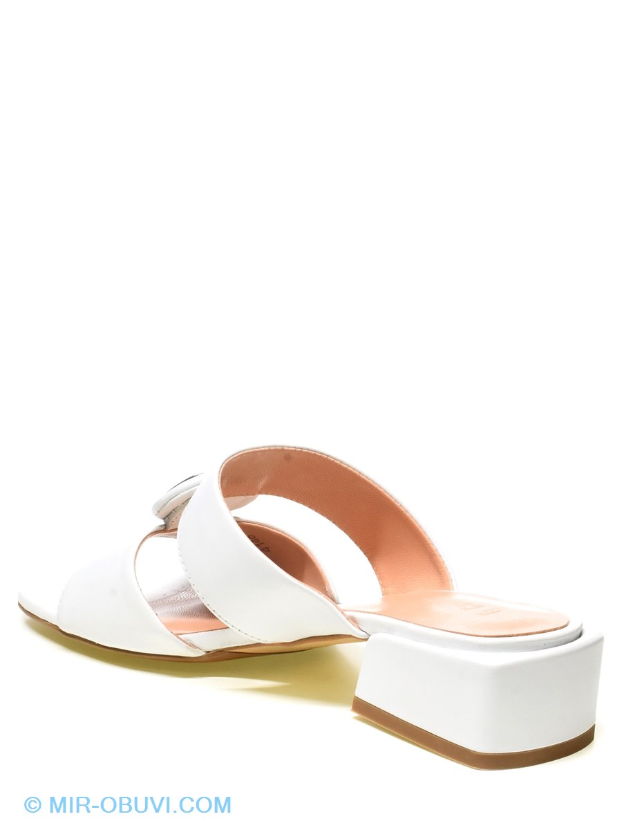 Ƴ���� ���� ��������� Conhpol-Bis. ��� 11.