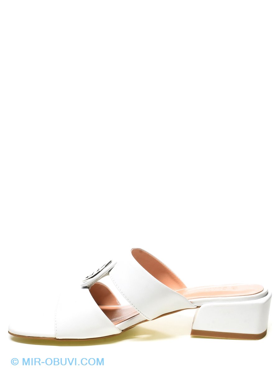 Ƴ���� ���� ��������� Conhpol-Bis. ��� 8.