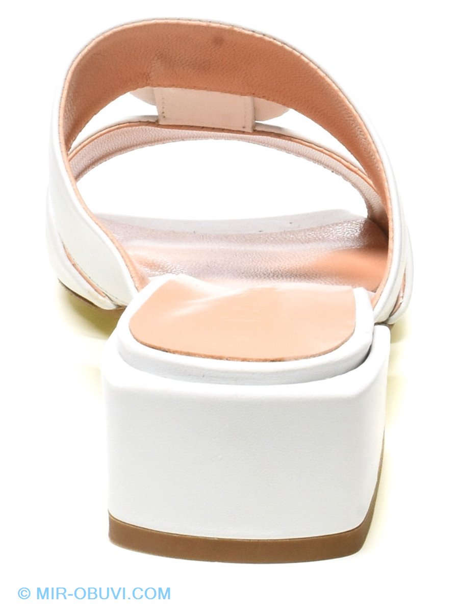 Ƴ���� ���� ��������� Conhpol-Bis. ��� 10.