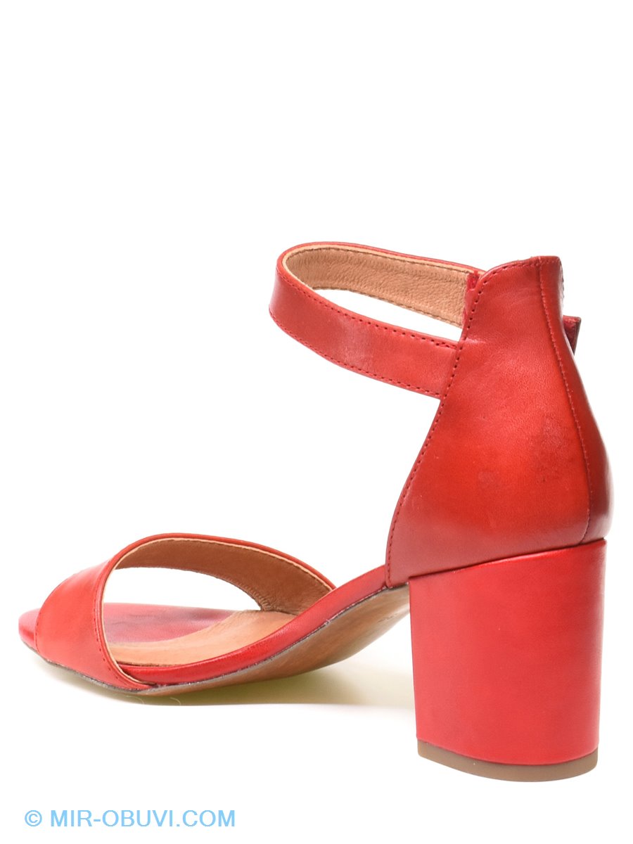 Ƴ���� ���� �������� ��������� Marco Tozzi. ��� 11.