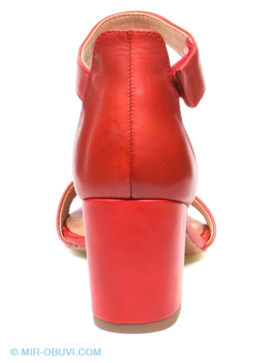 Ƴ���� ���� �������� ��������� Marco Tozzi. ��� 10.