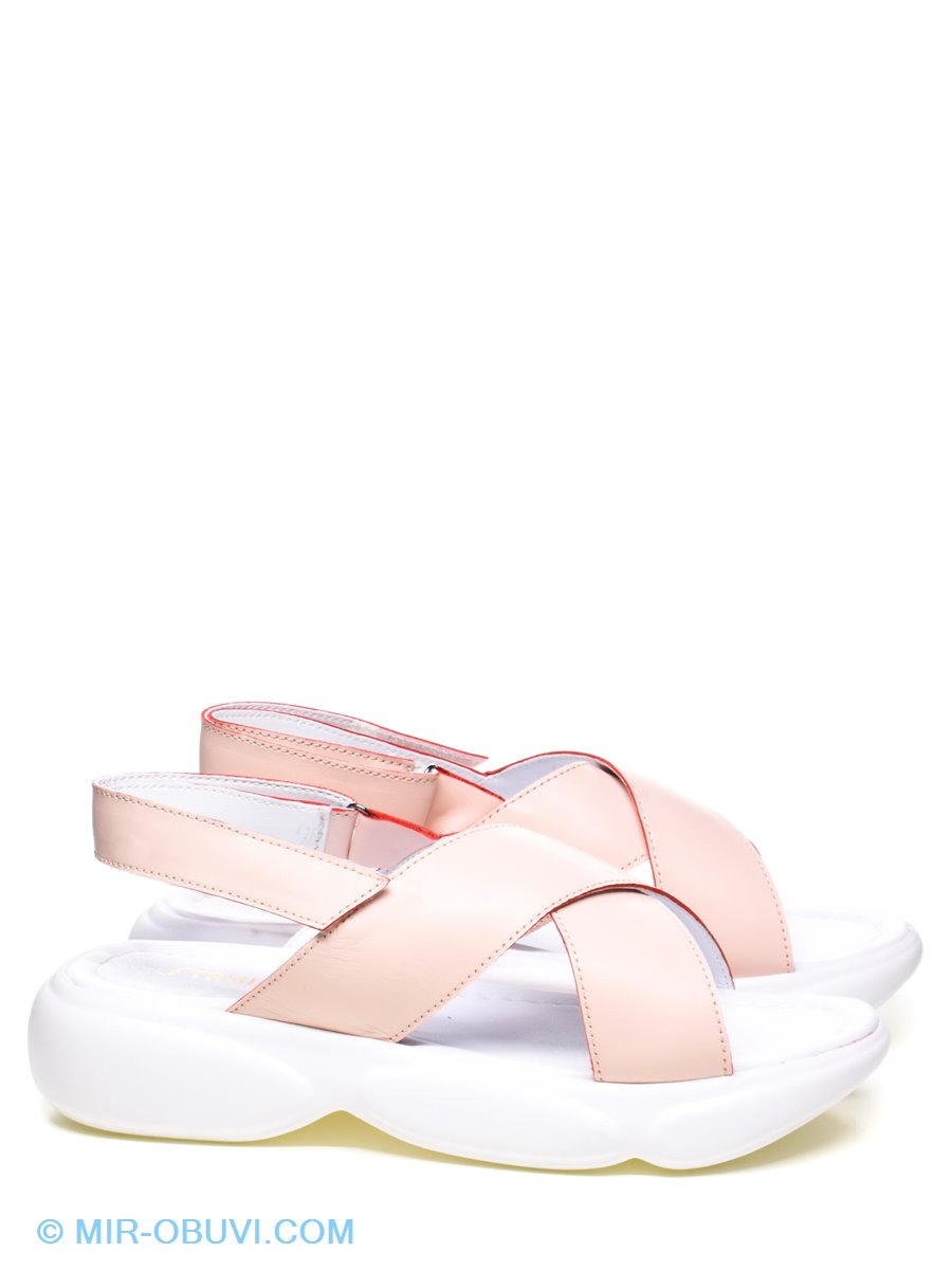 Ƴ���� ���� �����볿 Gattini. ��� 4.