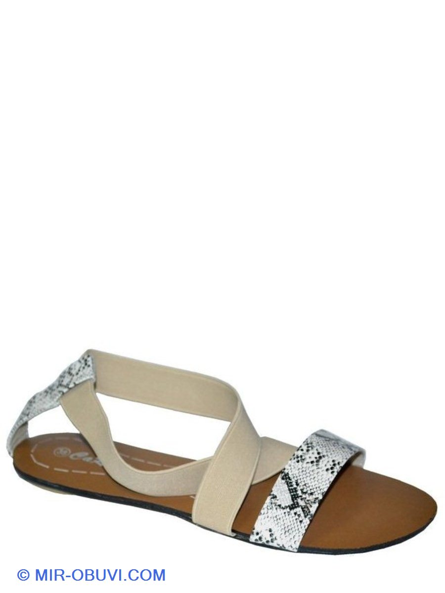 Ƴ���� ���� �����볿 Carini. ��� 1.