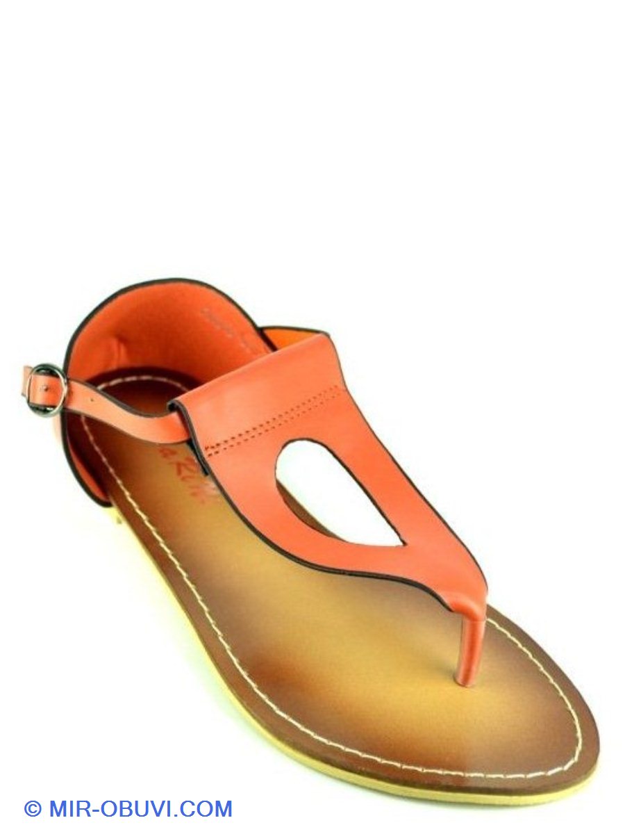 Ƴ���� ���� �����볿 Carini. ��� 1.