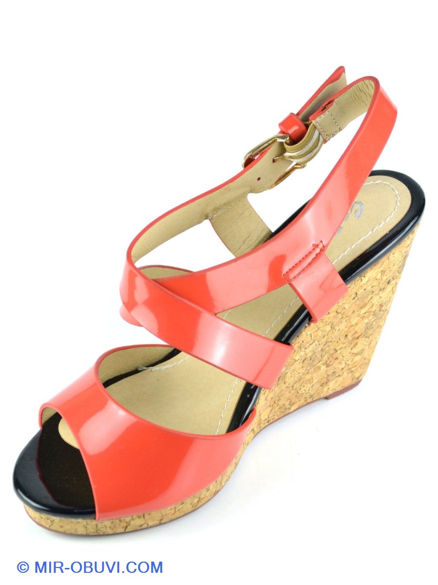 Ƴ���� ���� ��������� Carini. ��� 2.