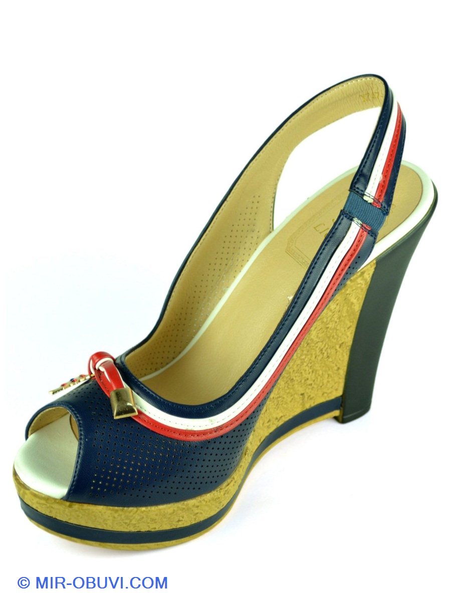 Ƴ���� ���� ��������� SP Lion. ��� 2.