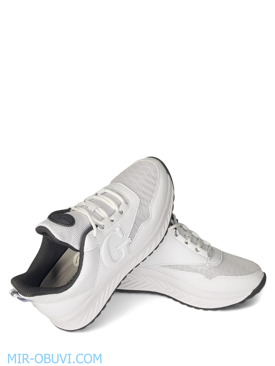 Ƴ���� ������� ������� Grunberg. ��� 14.