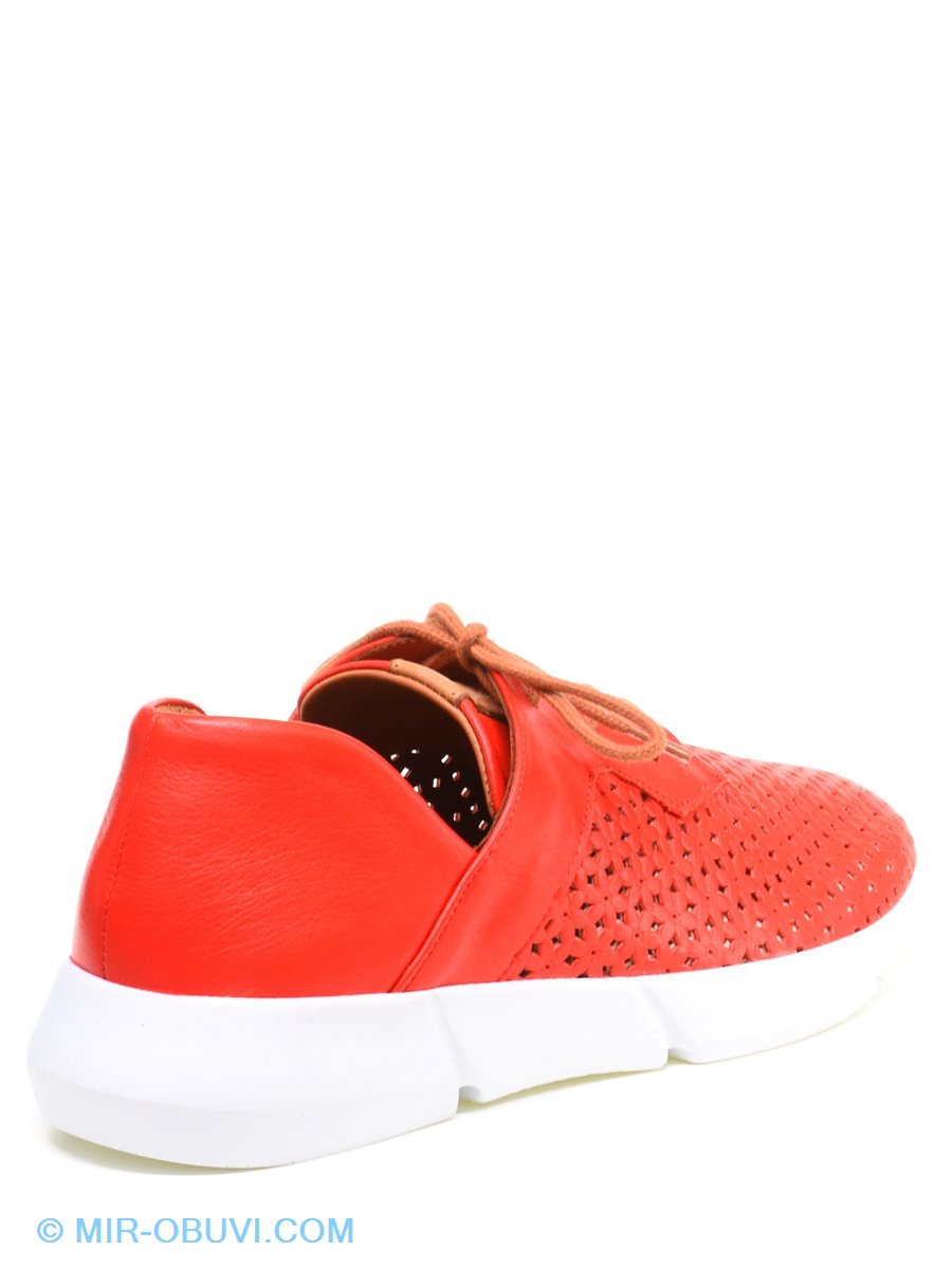 Ƴ���� ������� ���� Veritas. ��� 2.