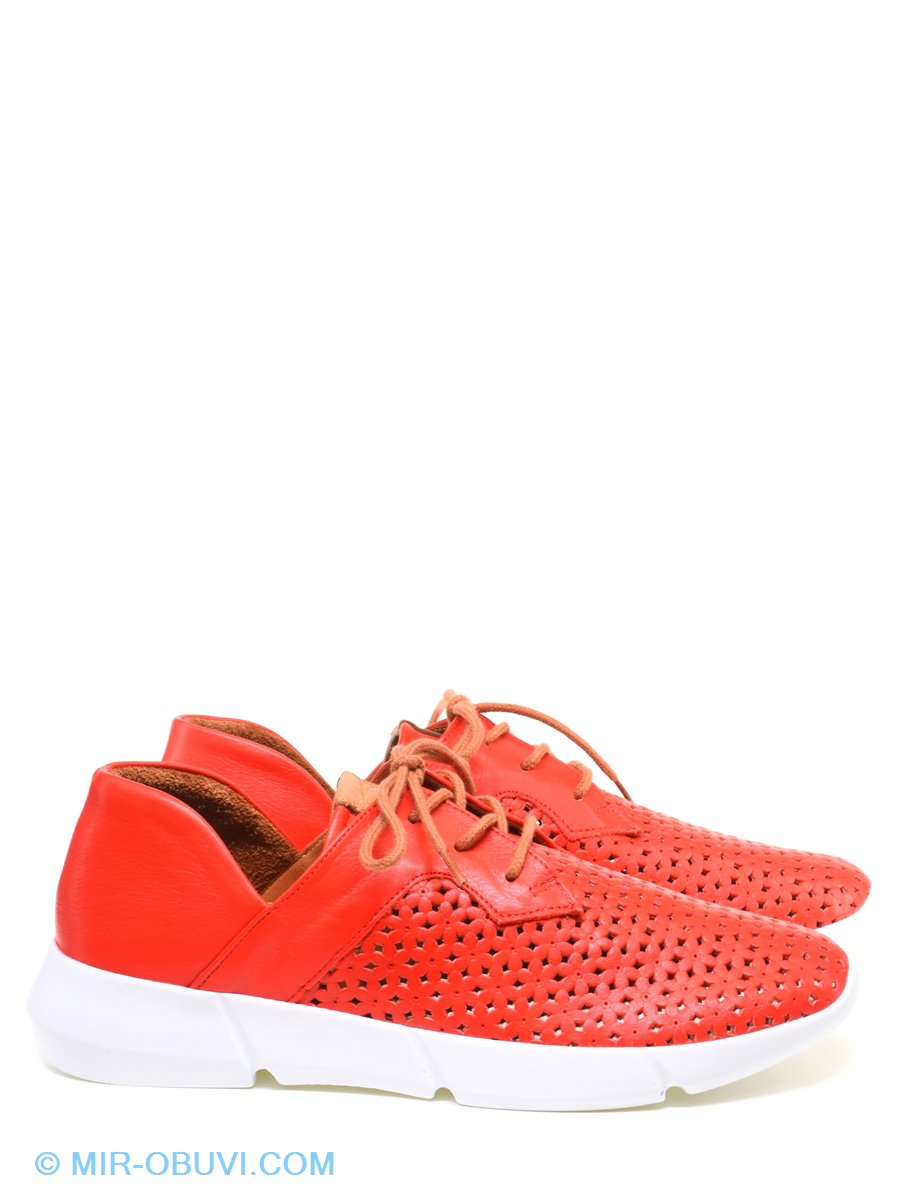 Ƴ���� ������� ���� Veritas. ��� 4.