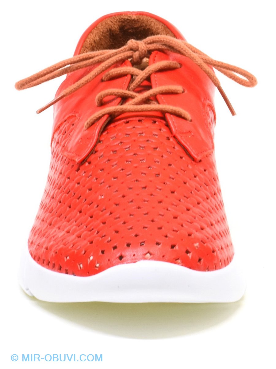 Ƴ���� ������� ���� Veritas. ��� 9.