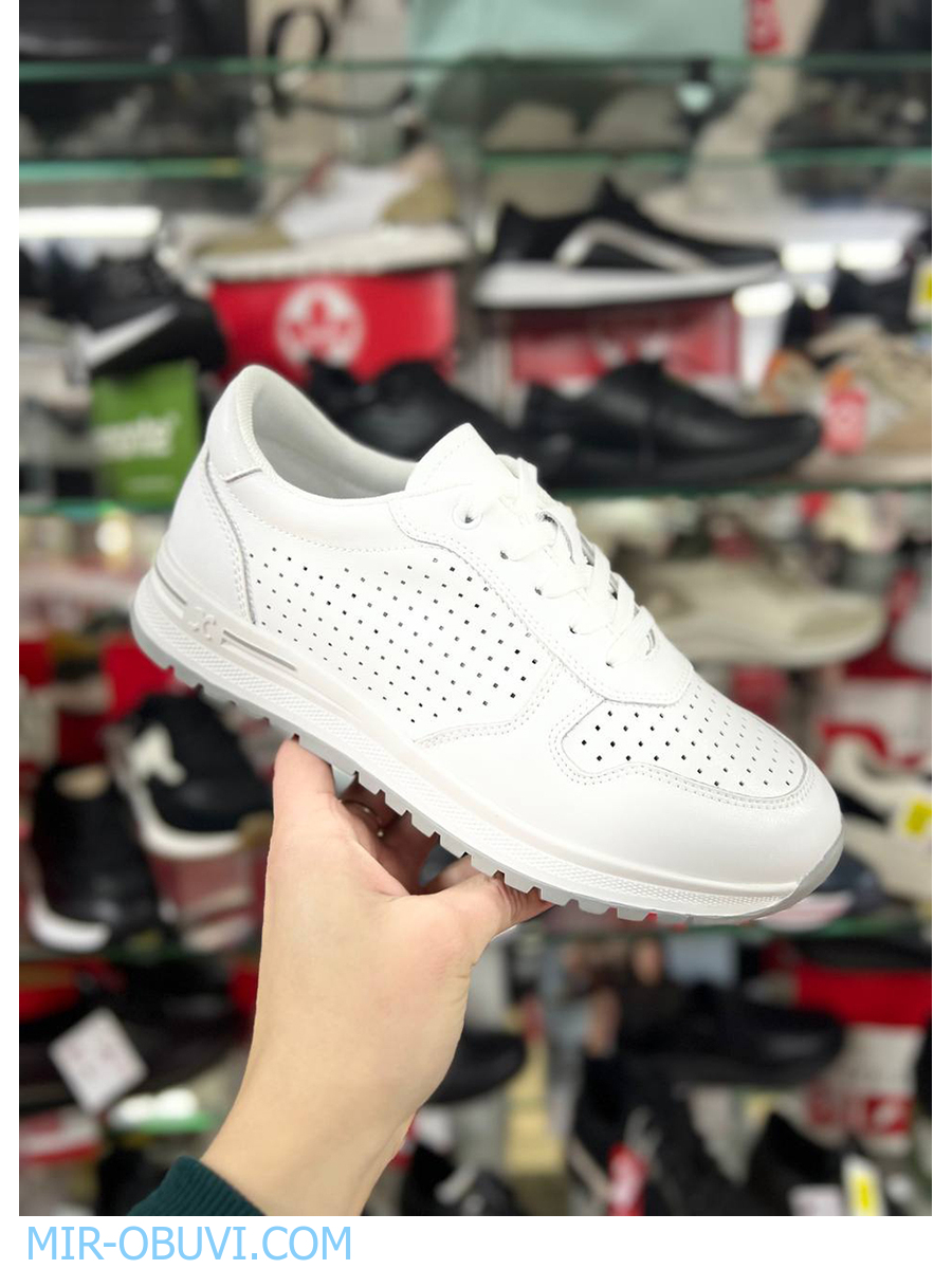 Ƴ���� ������� ������� Wollen. ��� 18.