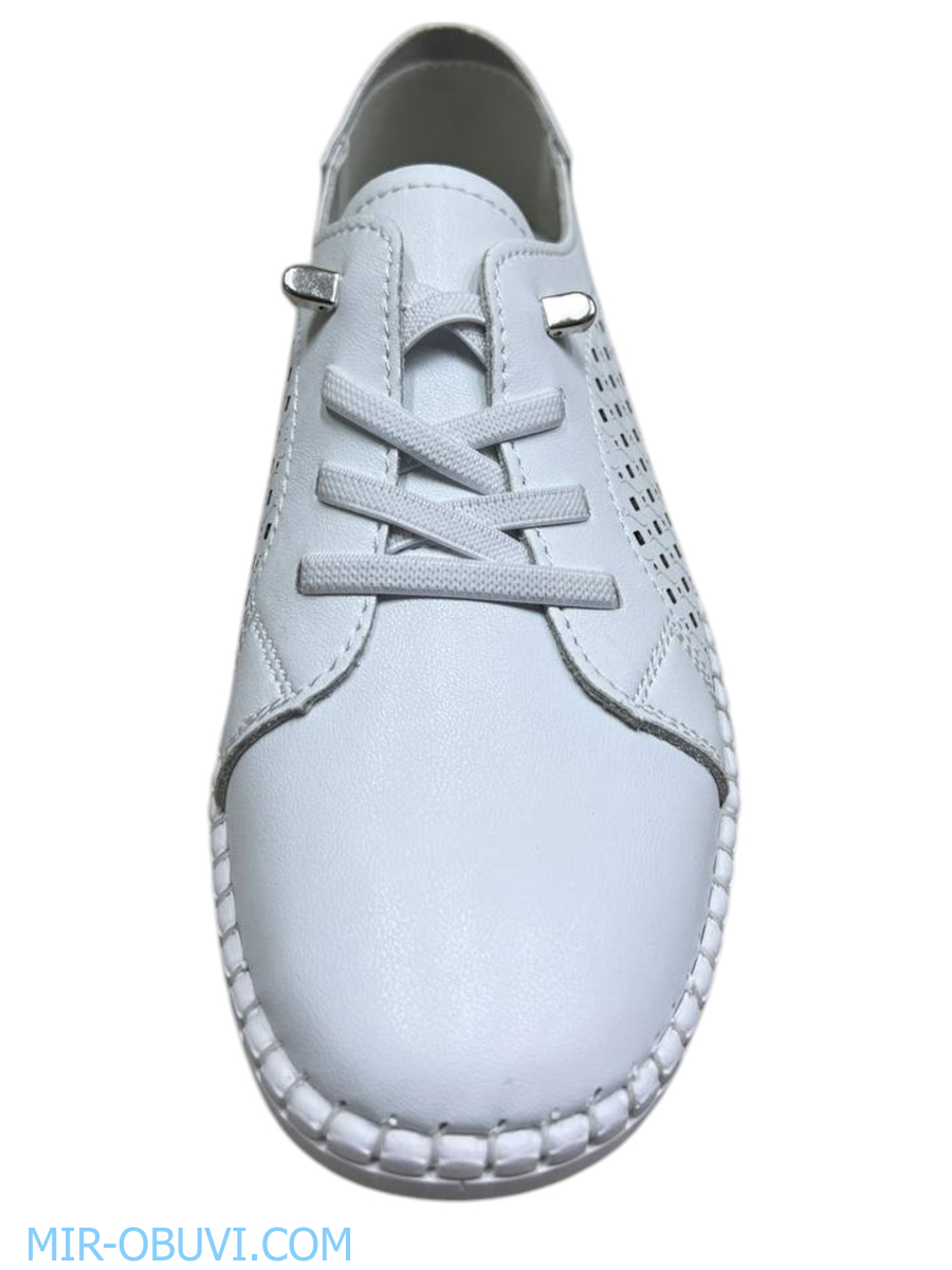 Ƴ���� ������� ���� Wollen. ��� 11.