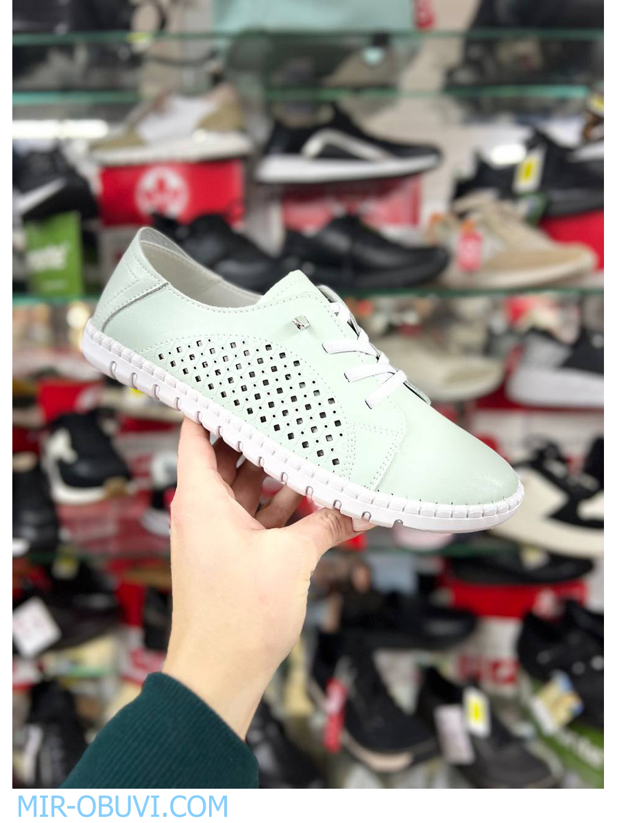 Ƴ���� ������� ���� Wollen. ��� 14.