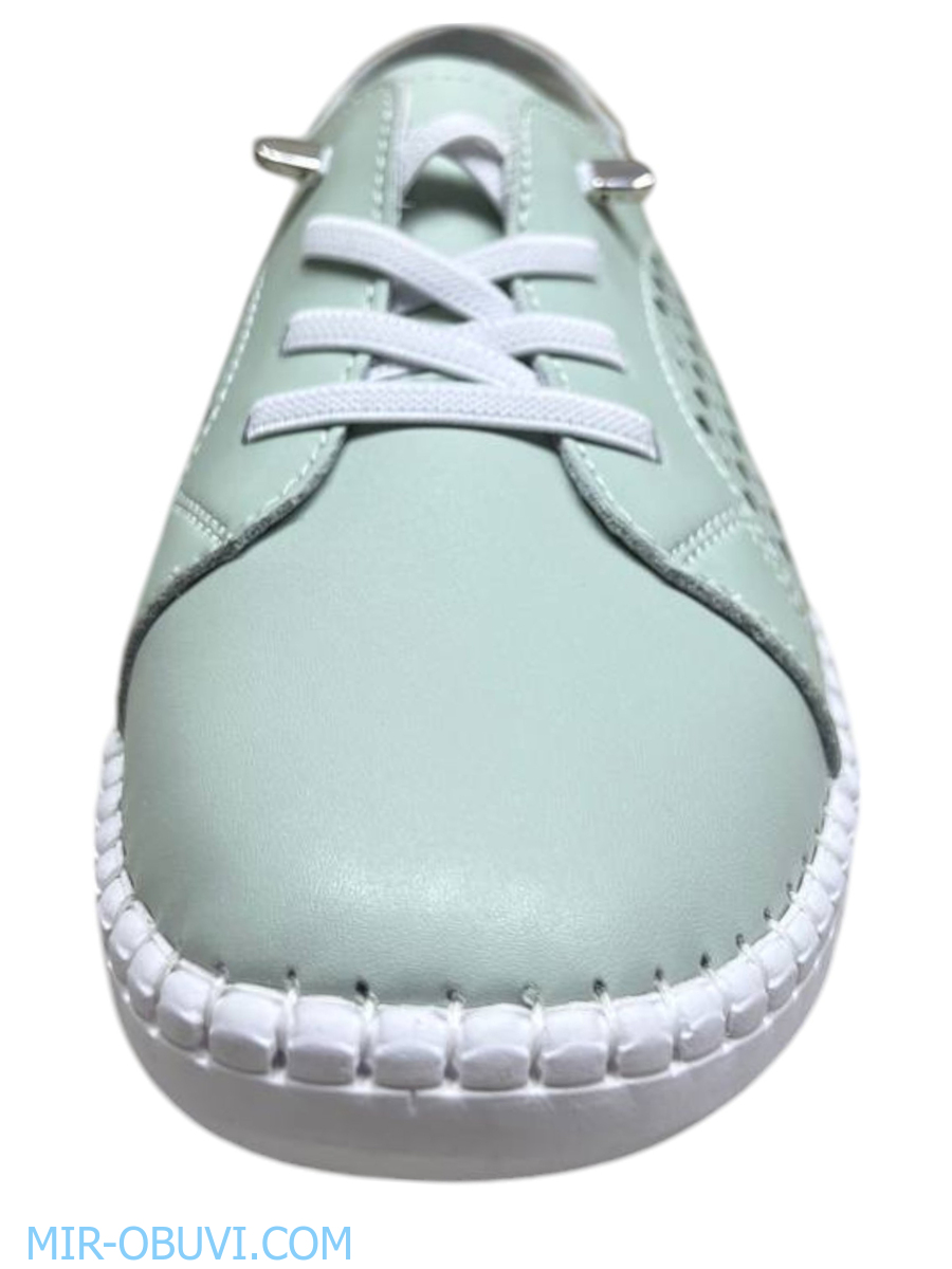 Ƴ���� ������� ���� Wollen. ��� 9.